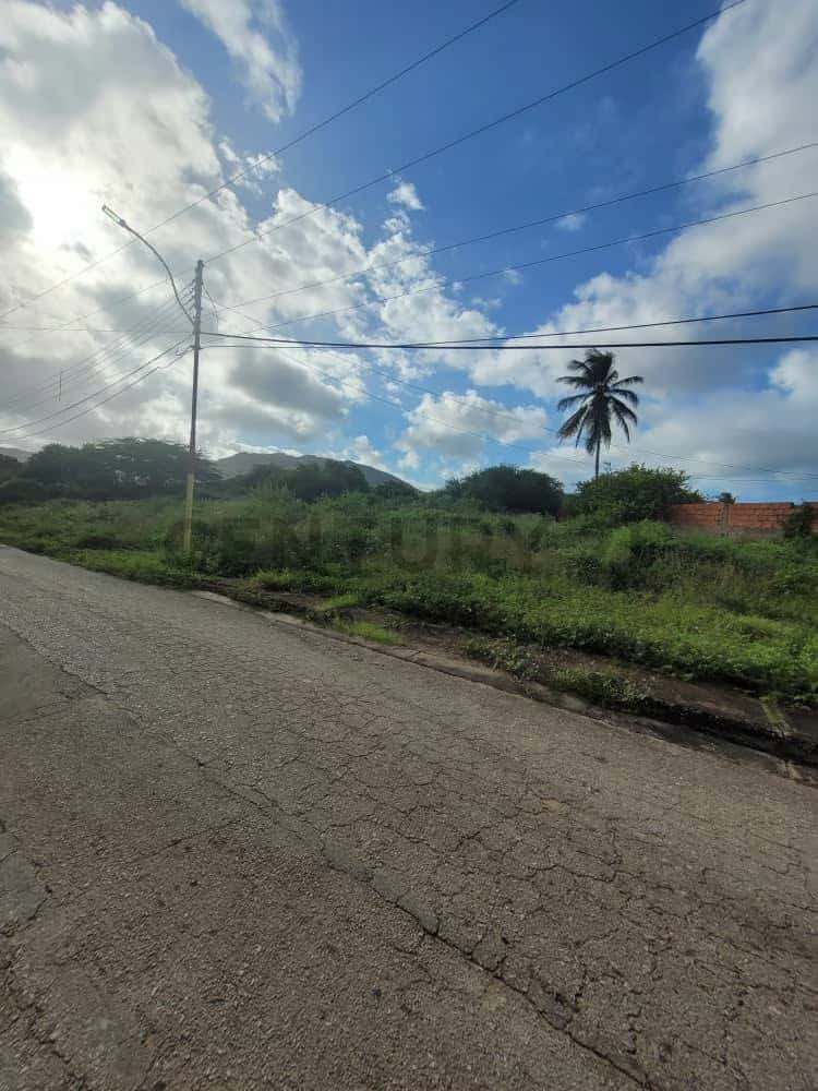 Vista 1