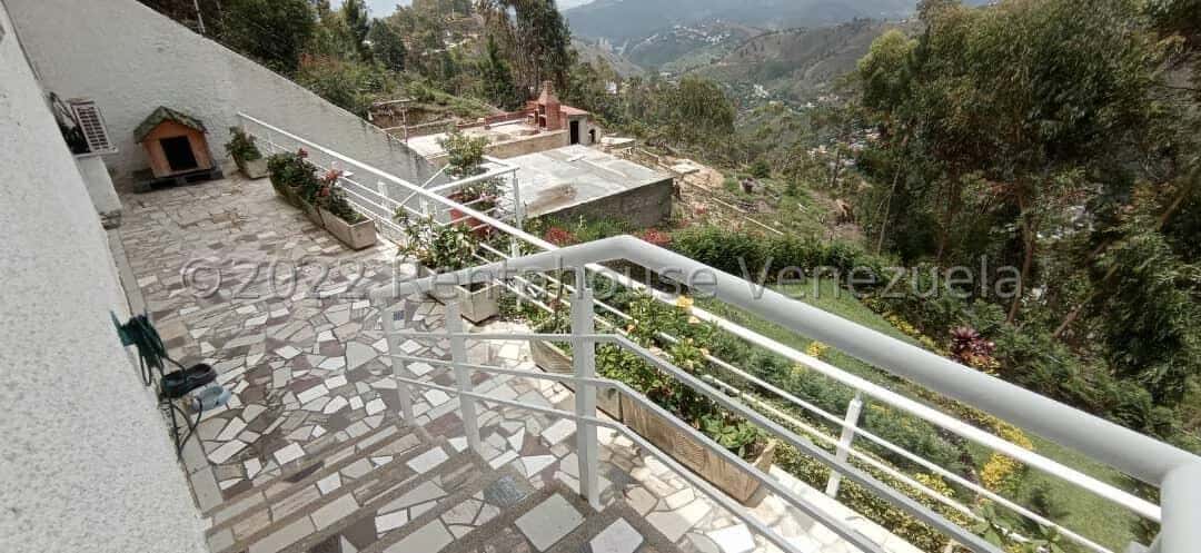 View 55