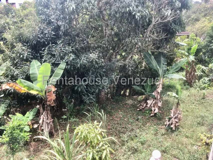 Vista 28