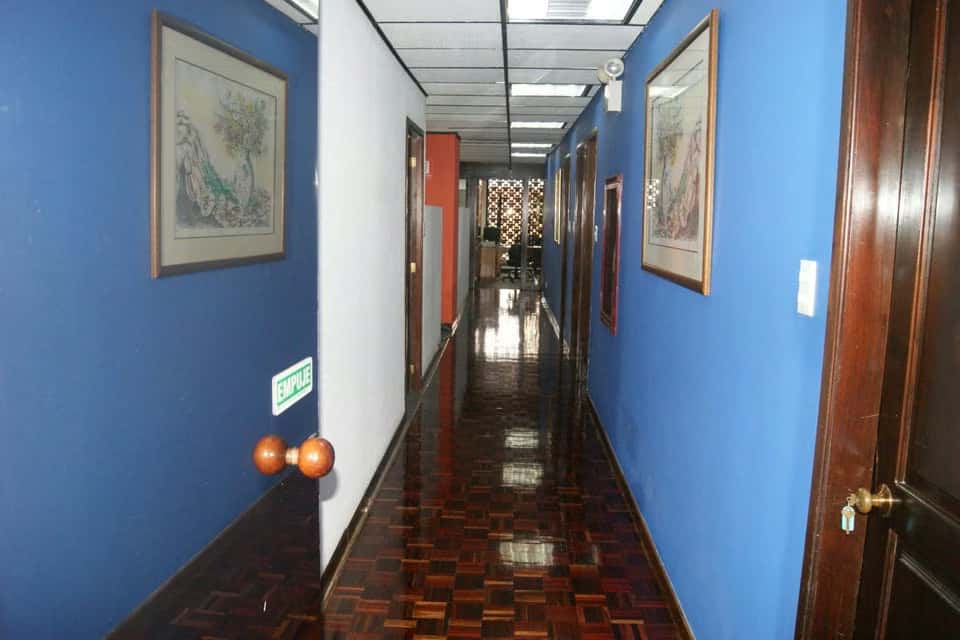 Vista 17