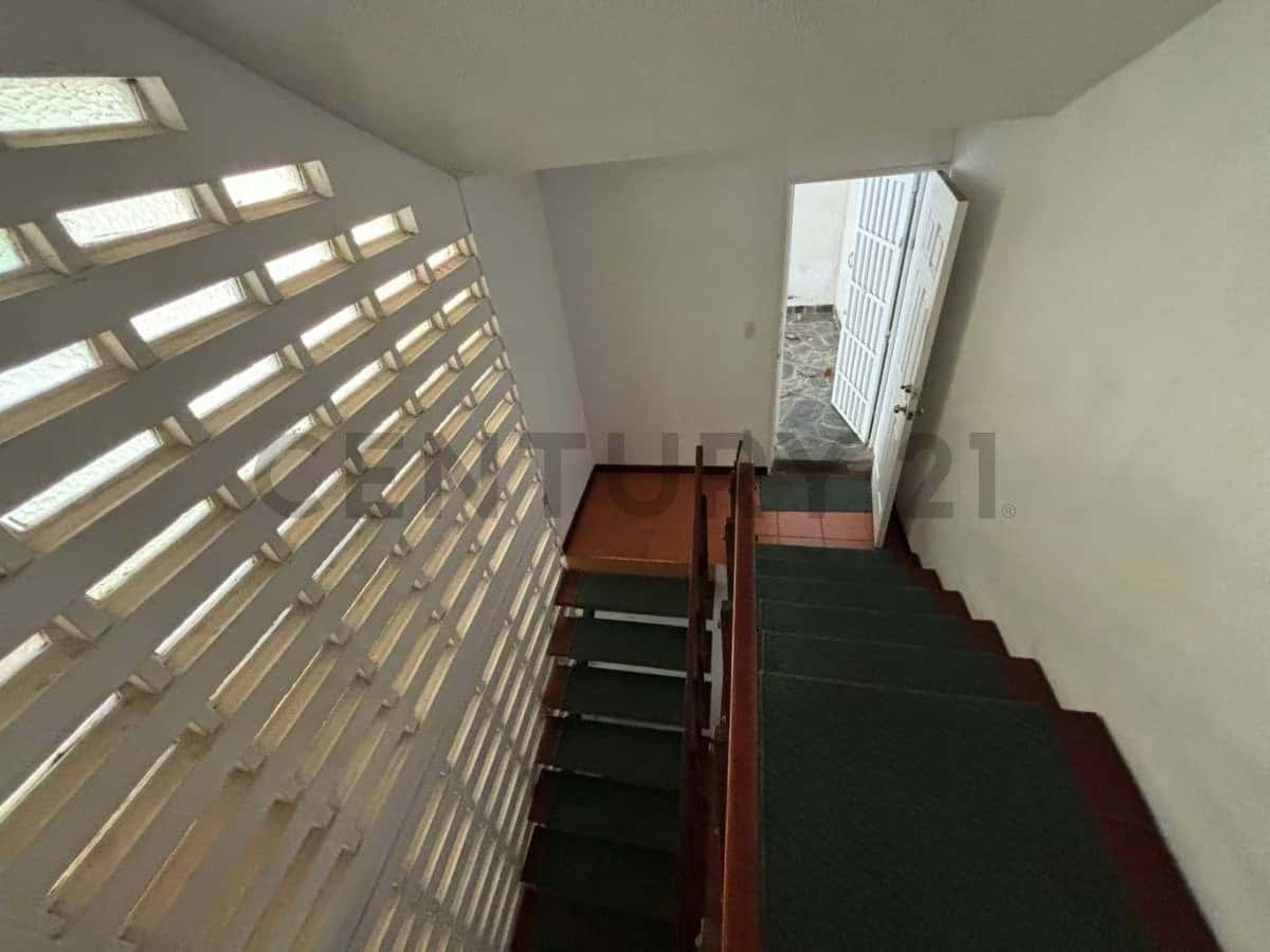 Vista 25