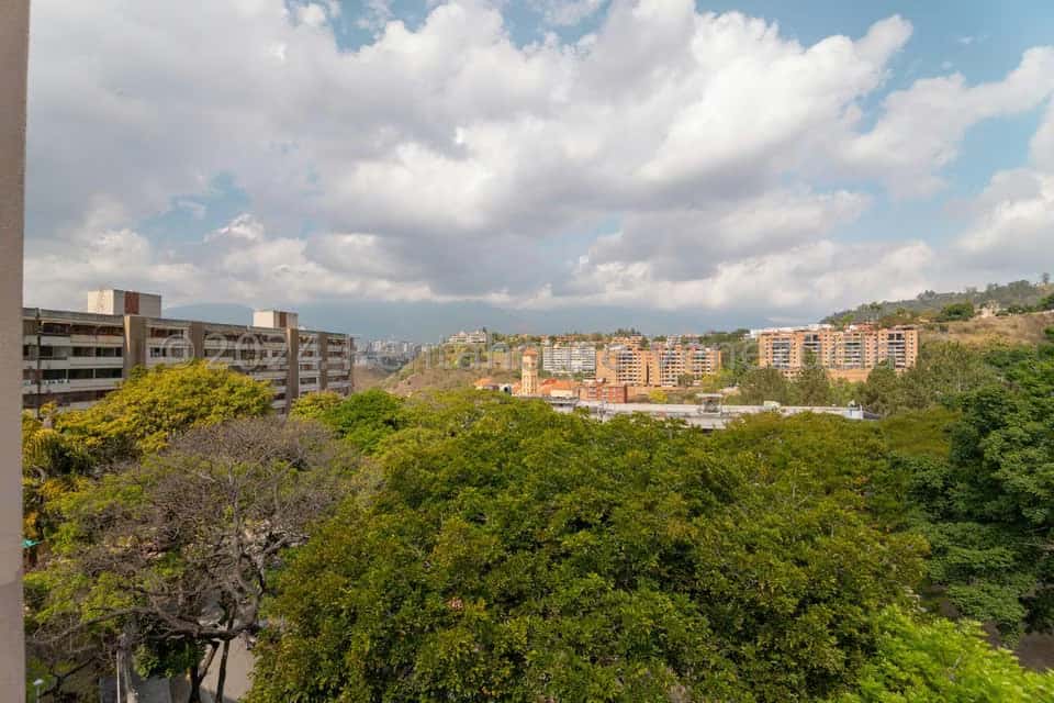 Vista 13