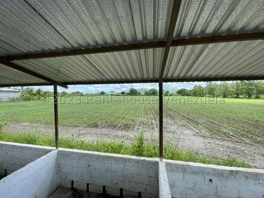 View 20