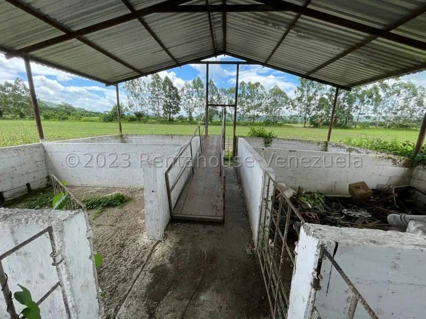 View 21