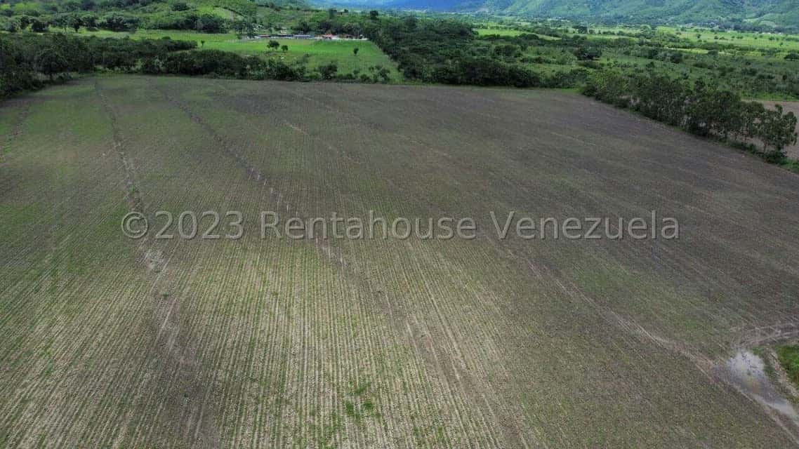 View 33