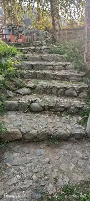 View 27