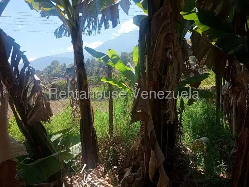 View 35