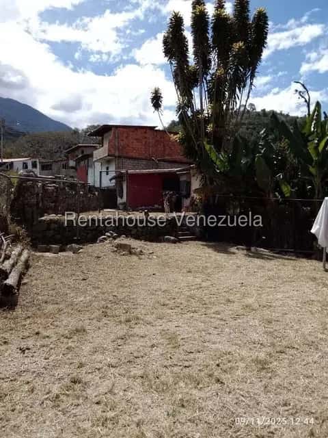 View 37