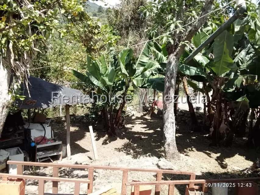 View 8