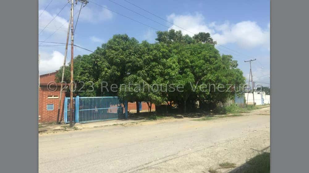 View 4