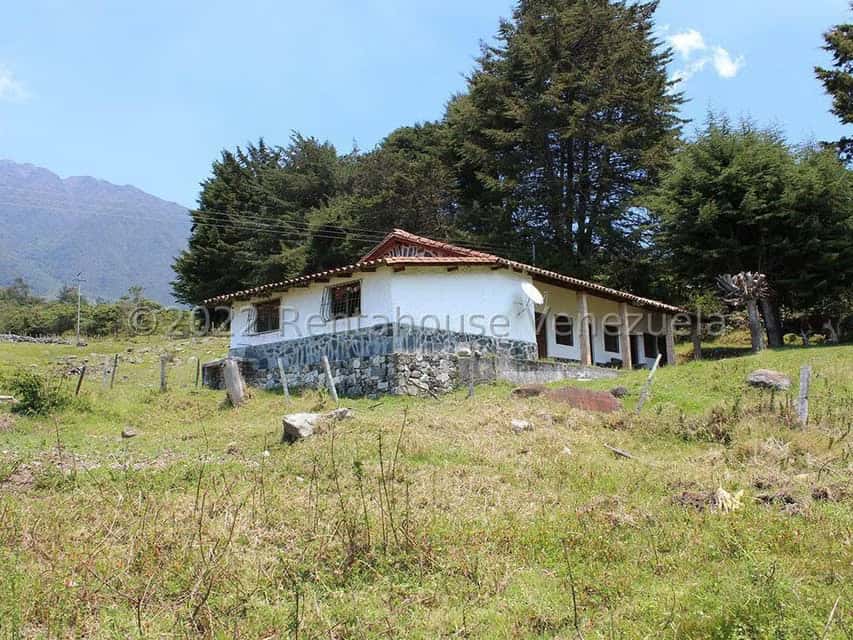 Vista 1