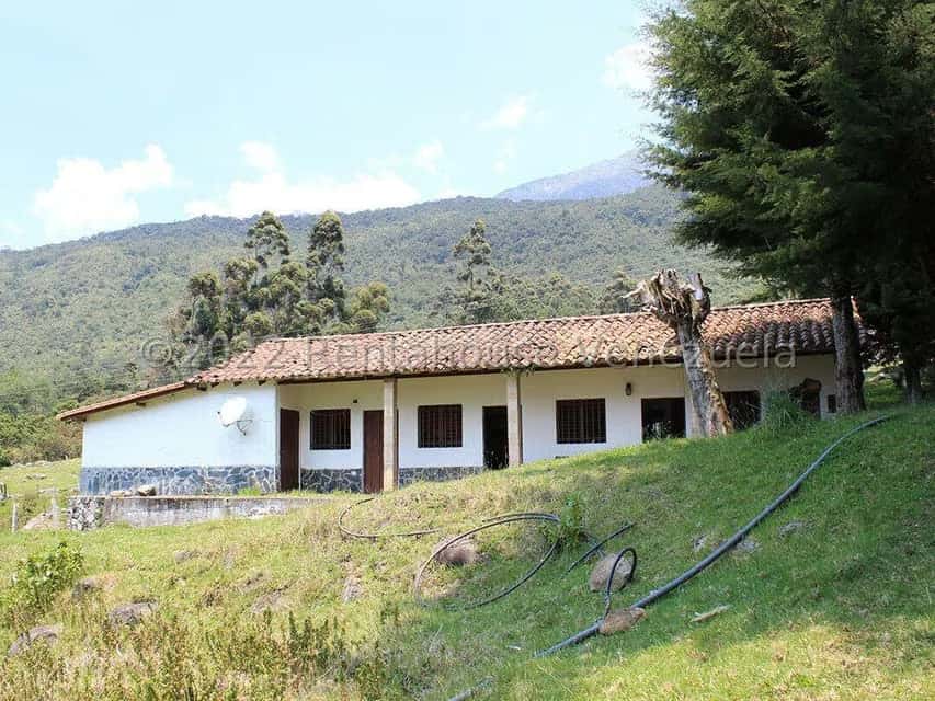 Vista 12