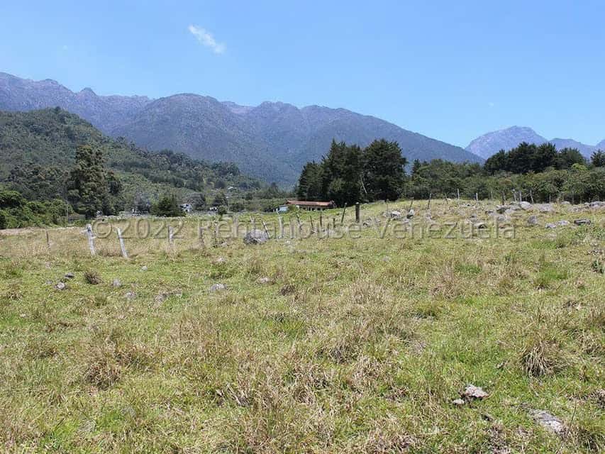 Vista 16