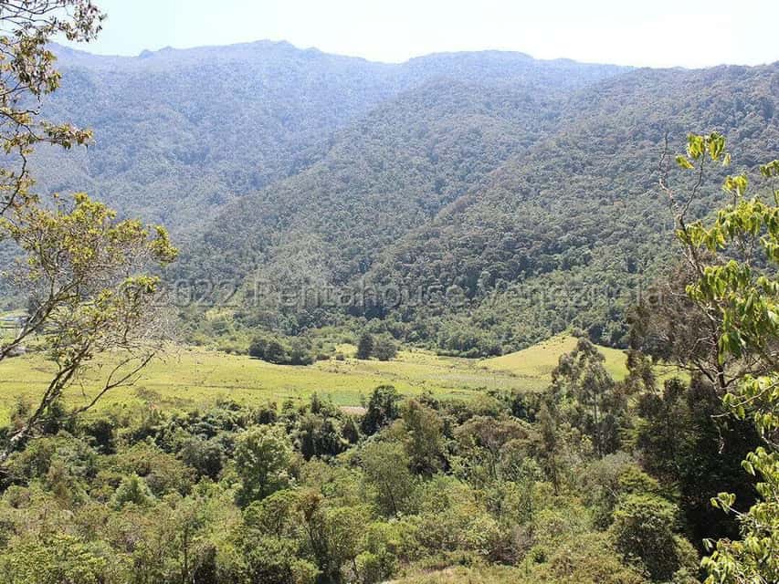 Vista 21