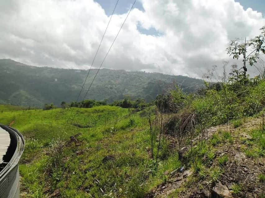 Vista 24