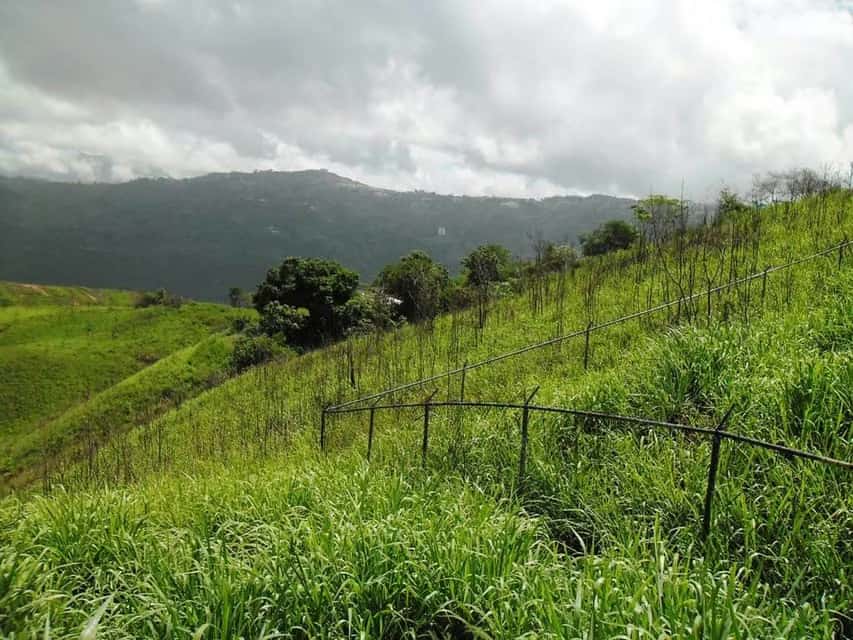 Vista 9
