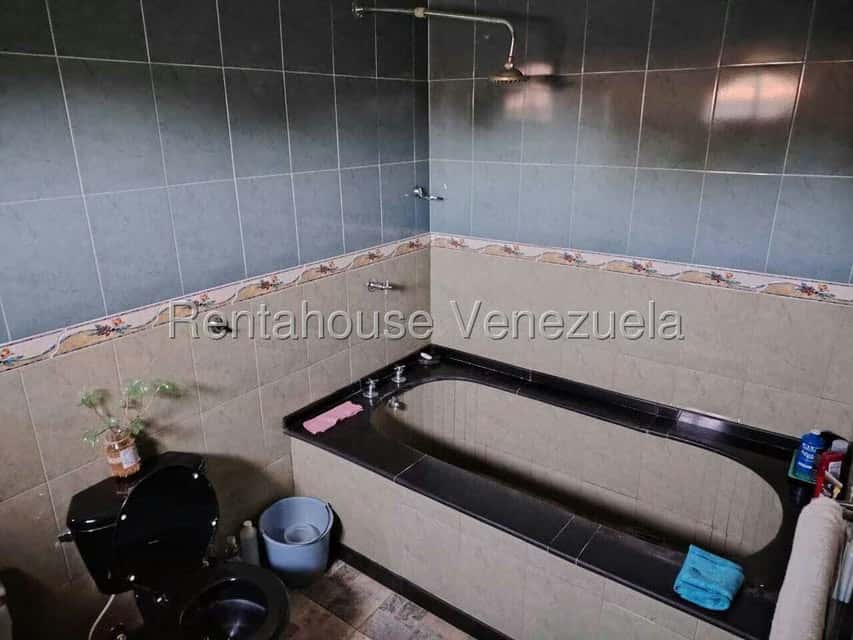 Vista 19