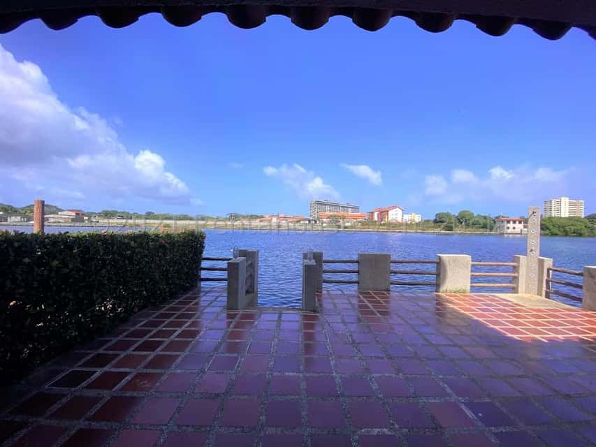 View 14