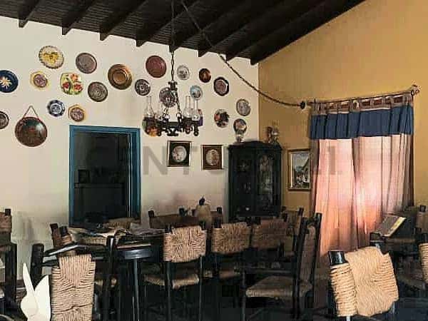 Vista 17
