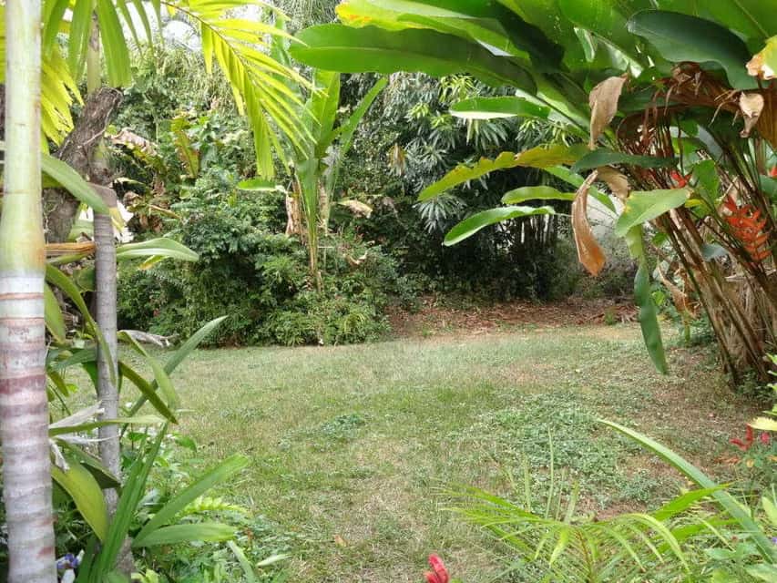 Vista 1