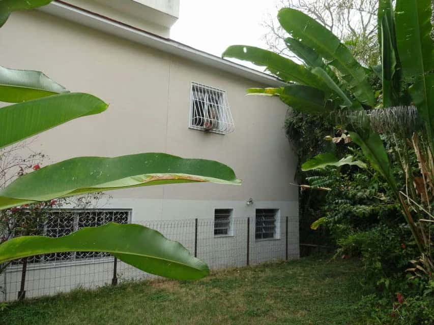 Vista 4