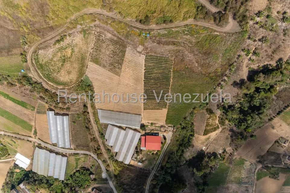 Vista 1