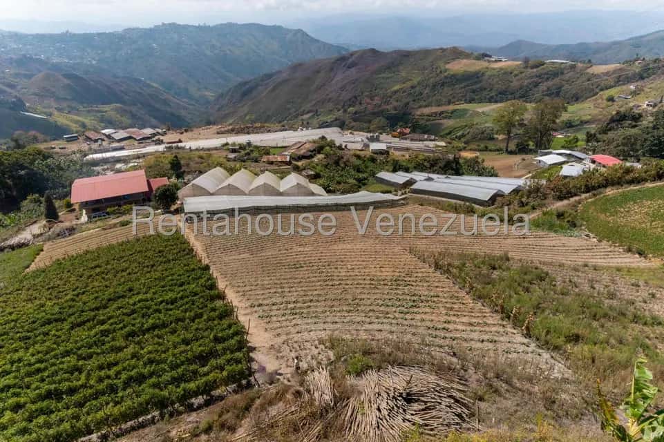 Vista 3