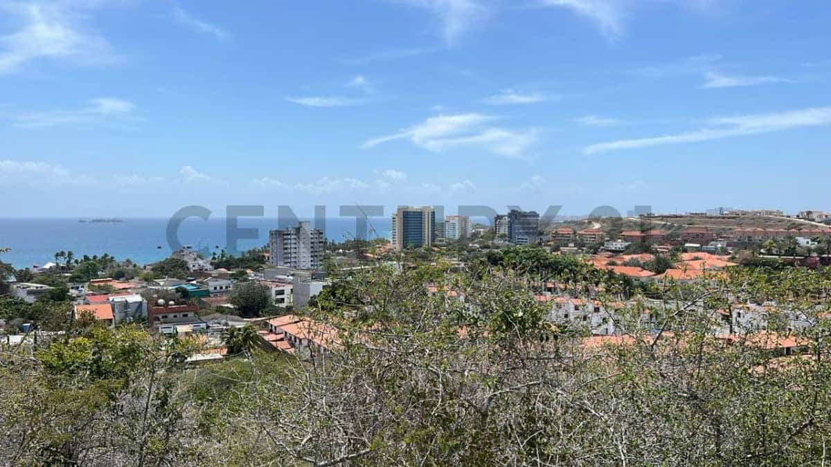 View 3