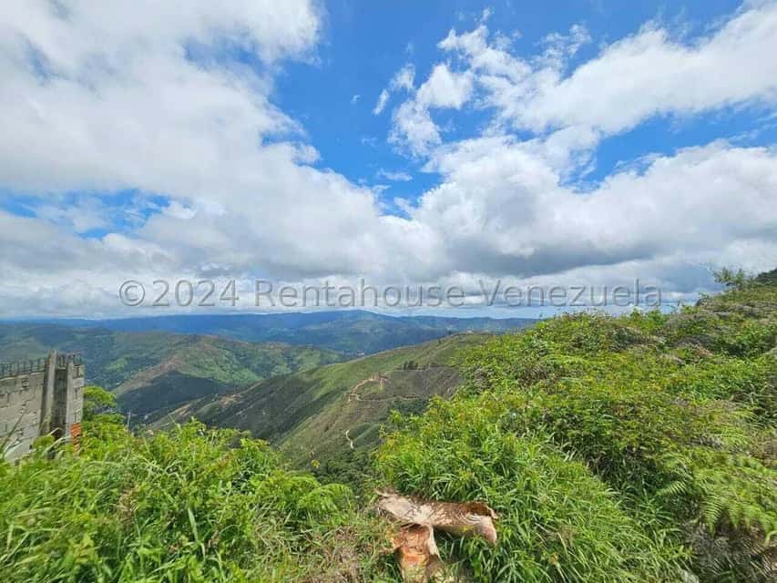 View 15