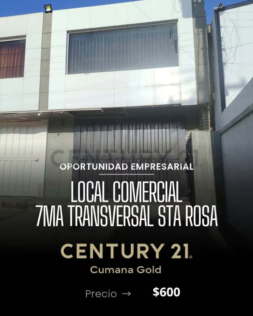 Vista 1