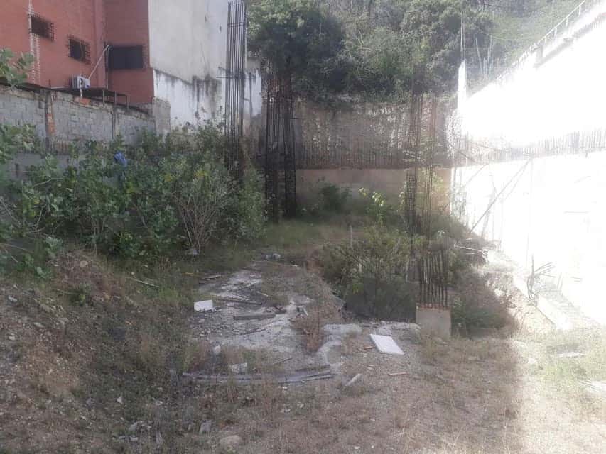 Vista 12