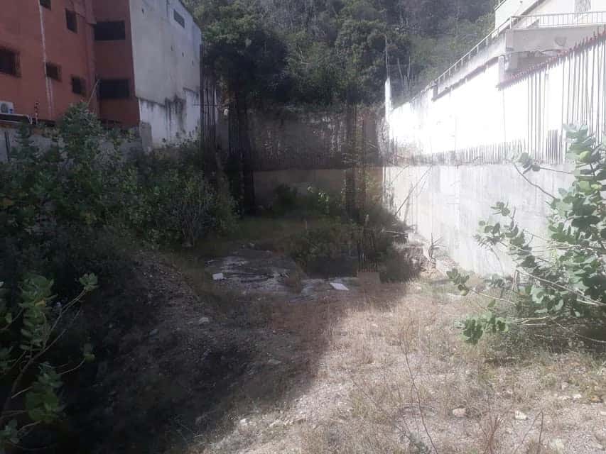 Vista 14