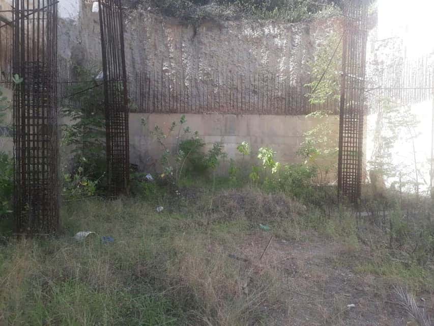 Vista 6