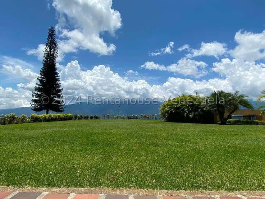 Vista 48