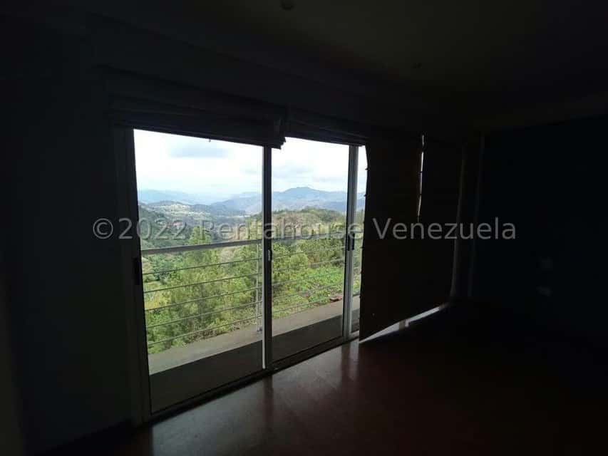 View 41
