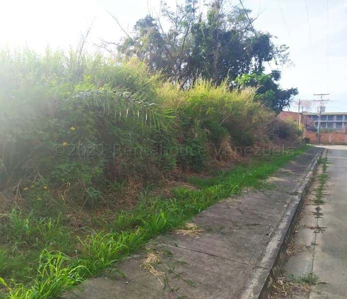 Vista 16