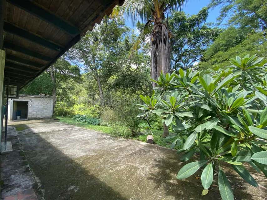 View 15