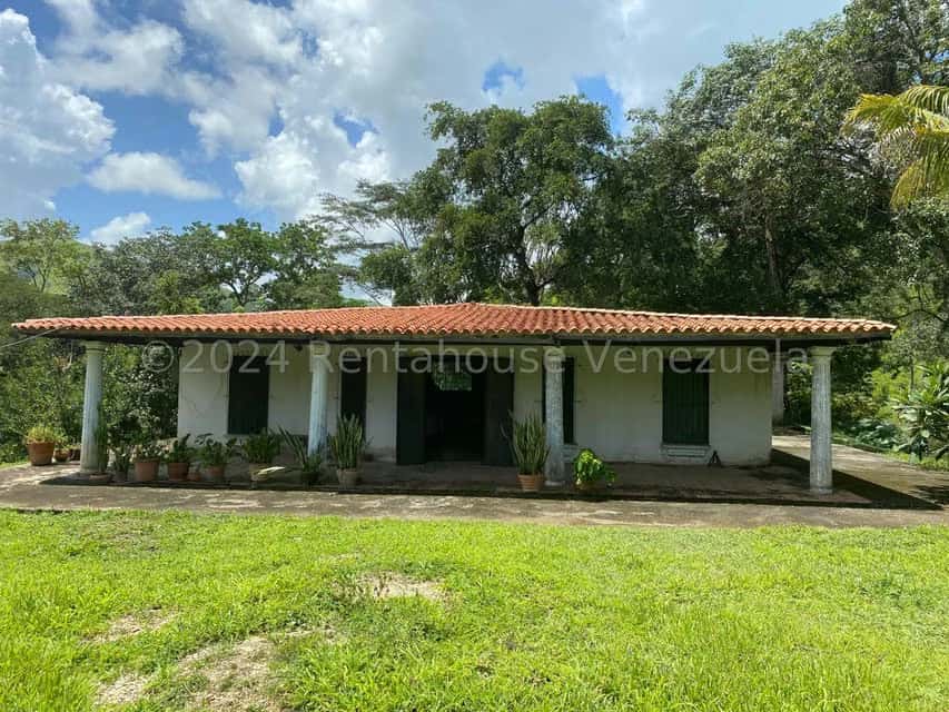 View 29