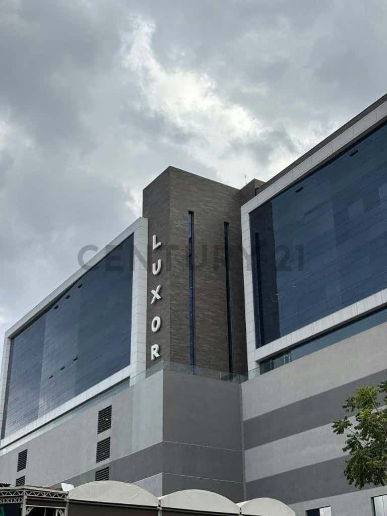 Vista 13