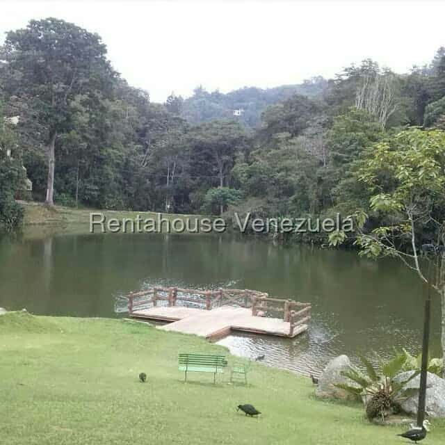 View 68