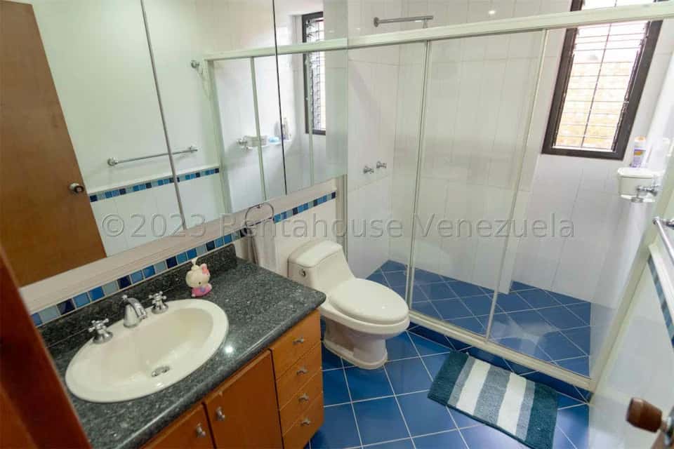 Vista 15