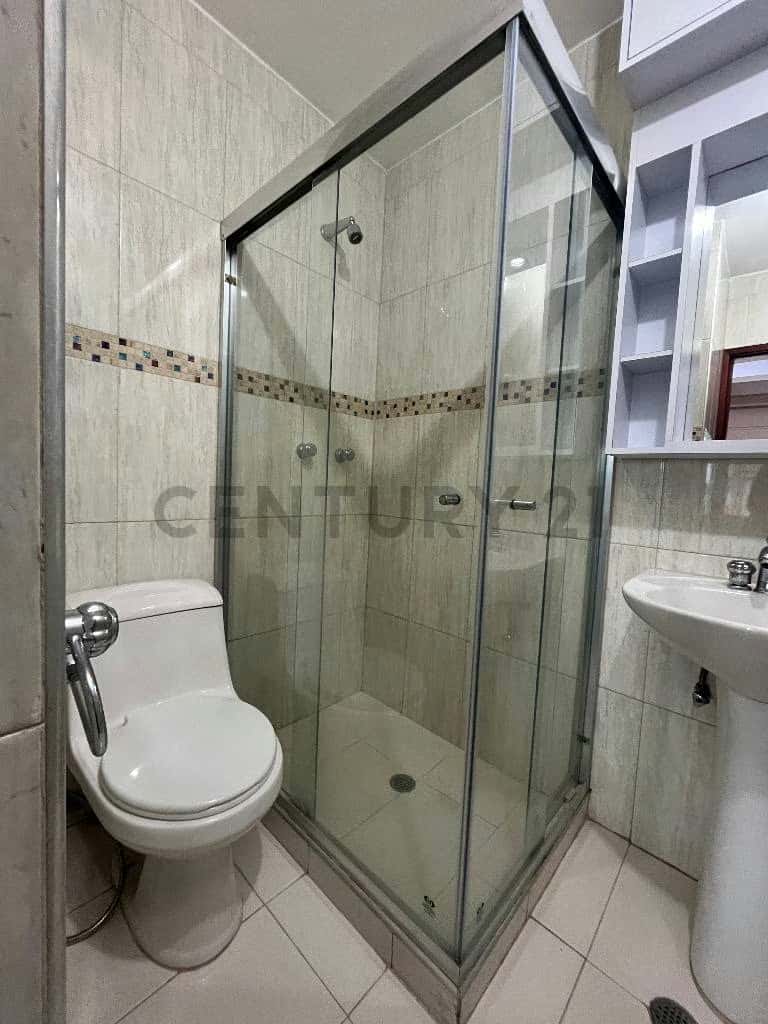 Vista 24