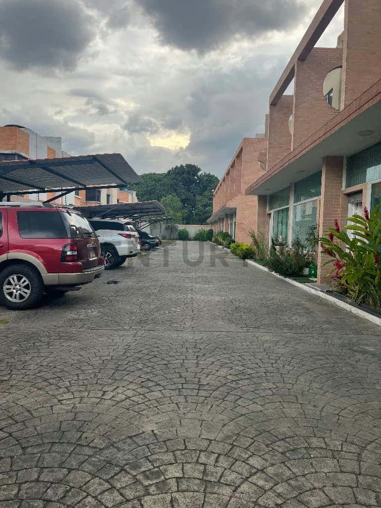 Vista 33