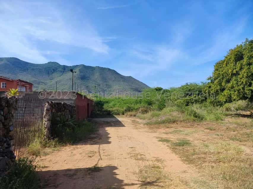 View 14