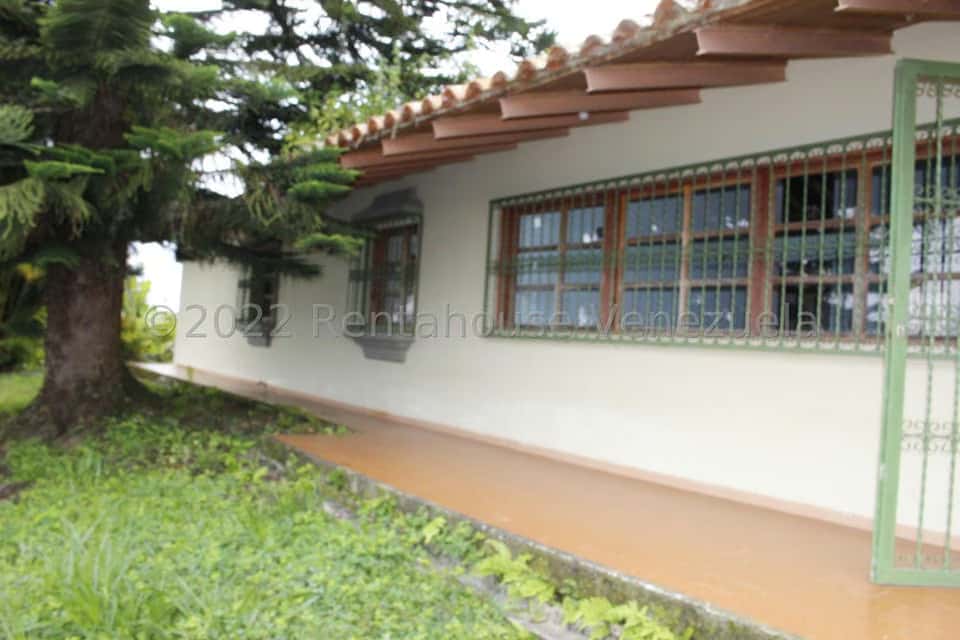 Vista 1