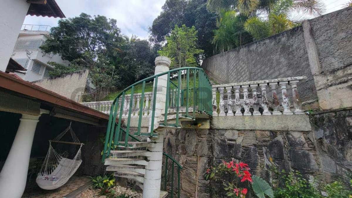 Vista 19