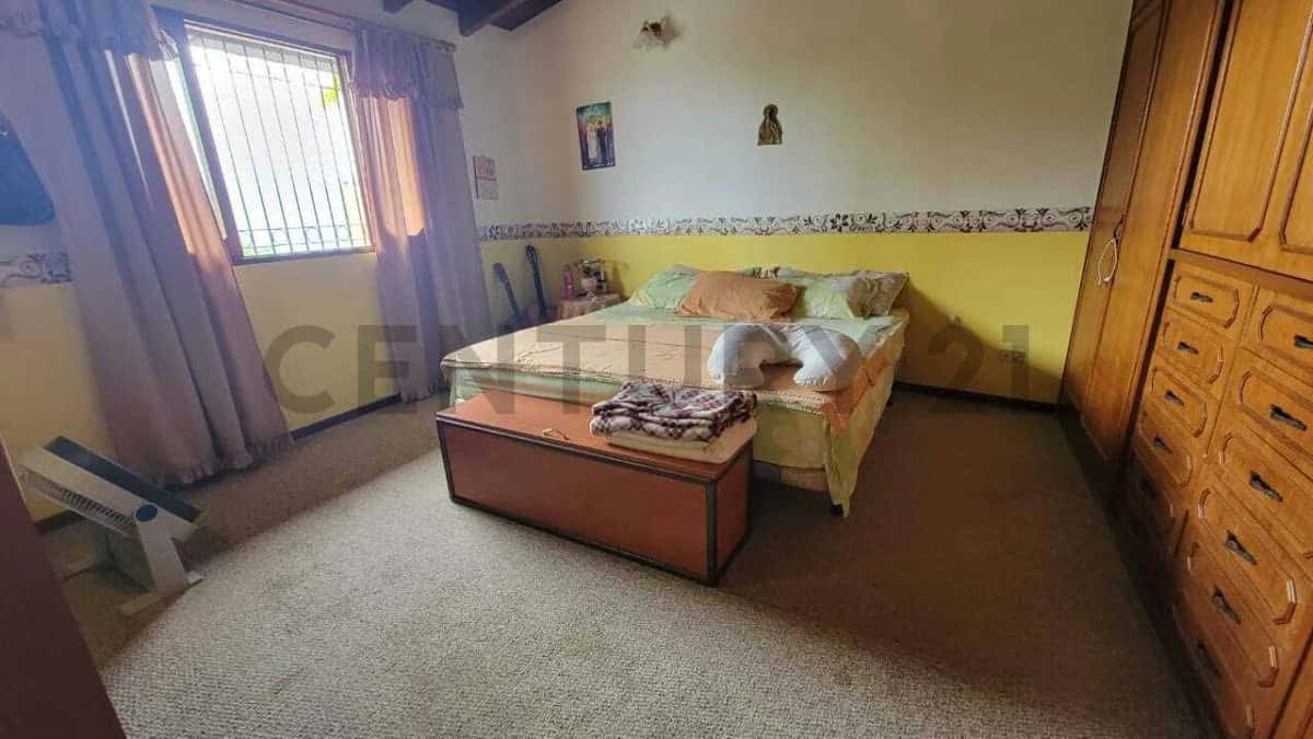 Vista 21