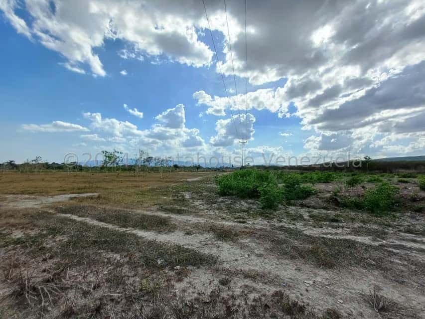 Vista 9