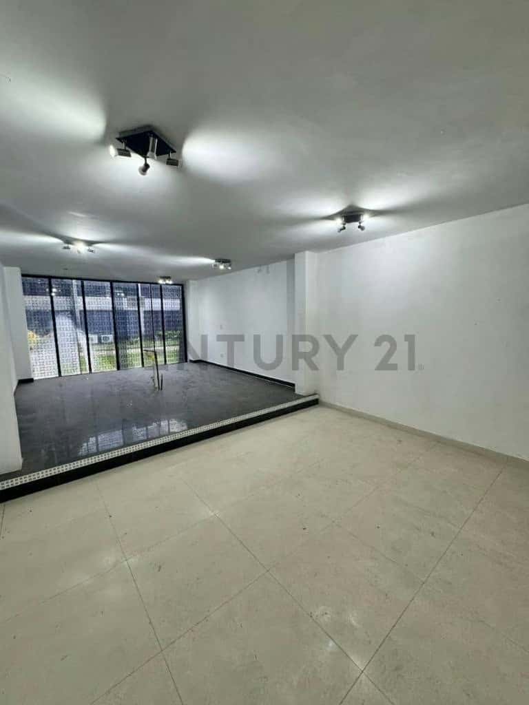 Vista 2