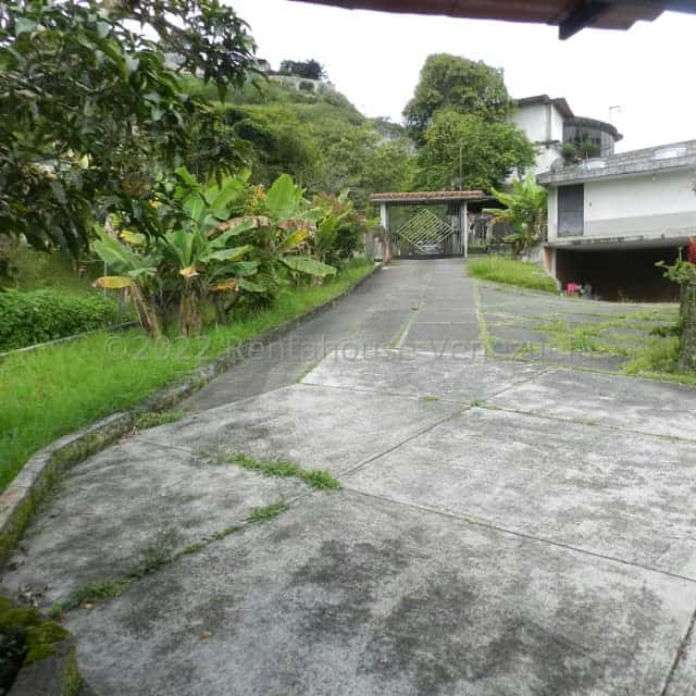 Vista 23